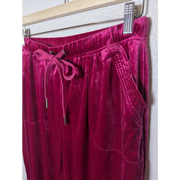 Anthropologie Saturday Sunday Pink Velour Jogger Pants Women Size S Soft Barbie - Picture 4 of 9